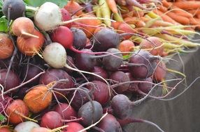 variety of beets in the vegetable market