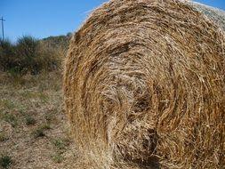 dry haystack on the meadow