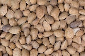 beautiful delicious almond