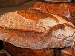 fresh farmer's bread