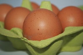 eggs in the package