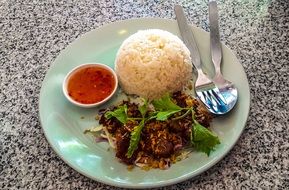 Thai Food Beef and Rice on plate