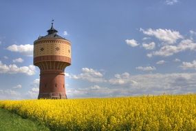 Water Tower in a field