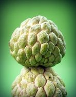 exotic sugar apple