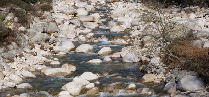 white round stones in a mountain brook