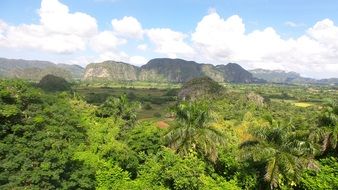 panorama of forest in the mountains, cuba, vedado