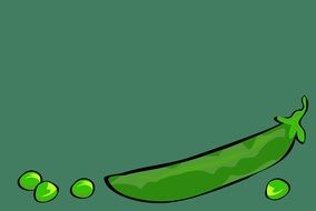 drawn green peas on a green background