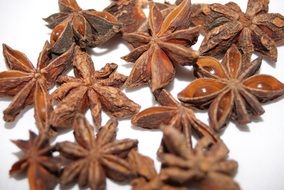 Anise Star Anise Spice Brown