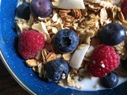 Cereal Granola Milk