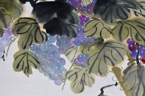 drawn purple grapes on the branches