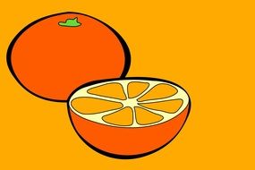 drawn orange citrus on an orange background