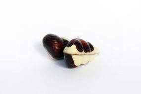 Mussel form Belgian Chocolates at white background