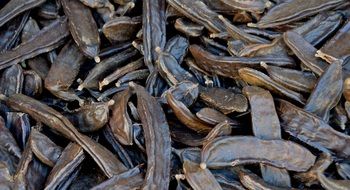 dark beans in a bunch