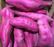 Picture of purple Sweet Potatoes