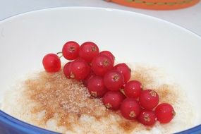 rice pudding with red currants