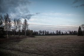 wheat Field Dark Landscape Nature