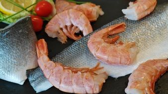 beautiful delicious Fish Shrimp