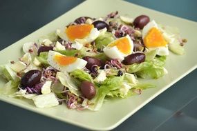 Beautiful colorful salad with the different ingridients