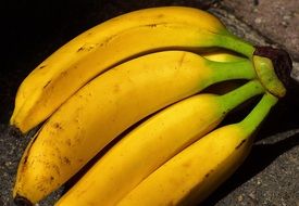 bananas are a source of minerals