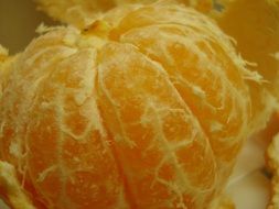 appetizing Tangerine Orange Fruit