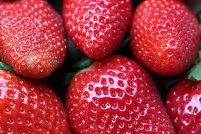 strawberry is a source of vitamins