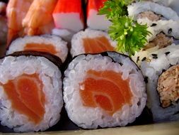 oriental rolls with salmon