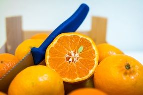 tray with delicious tangerines