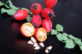 eglantine with seeds