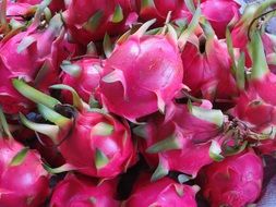bright purple dragon fruit at vietnam market