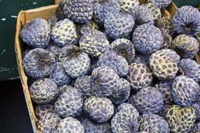 Sugar Apples, Delicious Fruits