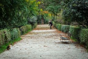 old man in the autumn garden