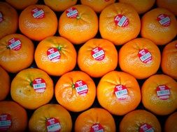 labeled Oranges on stand