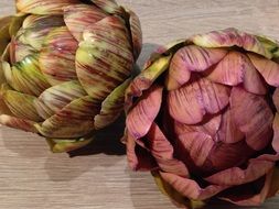 two artichokes vegetables