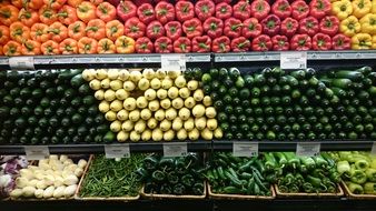 the department of vegetables at the supermarket