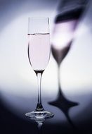 a glass filled with champagne