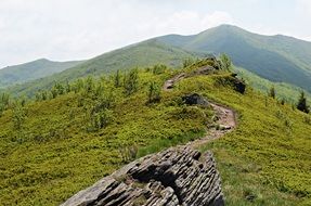 hiking path in Bieszczady