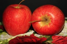 two Red Apples on colorful fabric