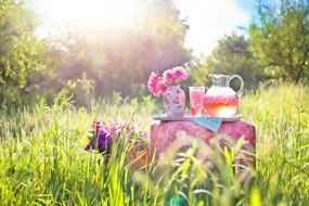 Pink Lemonade refreshment Outdoors