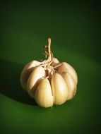 Garlic bulb on green surface