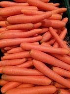Orange healthy fresh carrots in the market