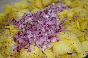 potatoes salad with blue onion