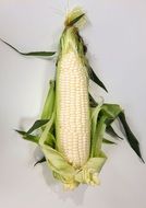 white corncob