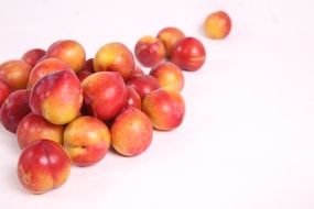 plum like apricot