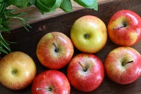 ripe healthy apples