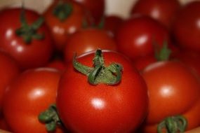 red tomatoes closeup