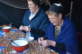 People clean shrimp in the Netherlands