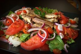 appetizing Salad with tomatoes