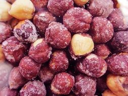 Hazelnut Food