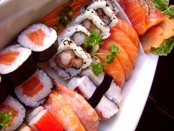 sushi and sashimi