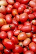 delicious tomatoes